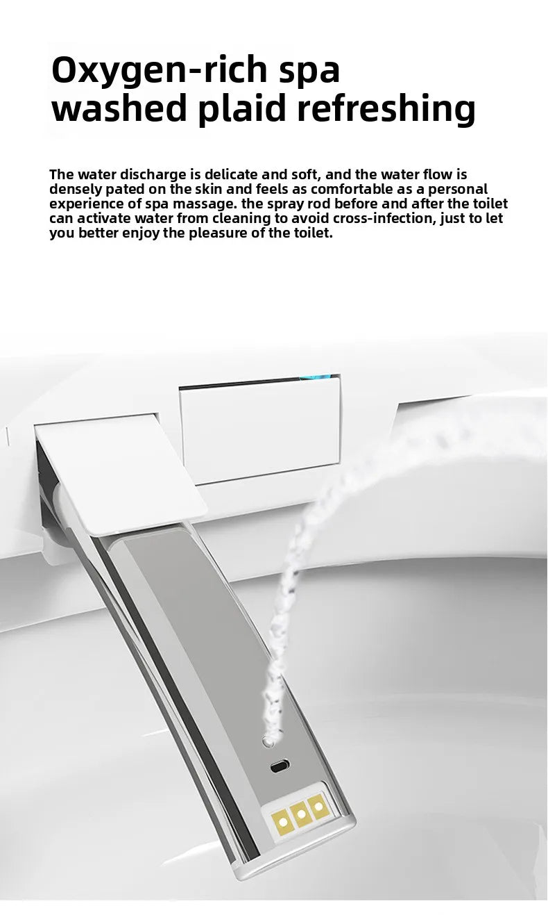 Smart Toilet Seat Cover with Aroma Automatic Flip Voice Control Remote Bidet Wash Dryer